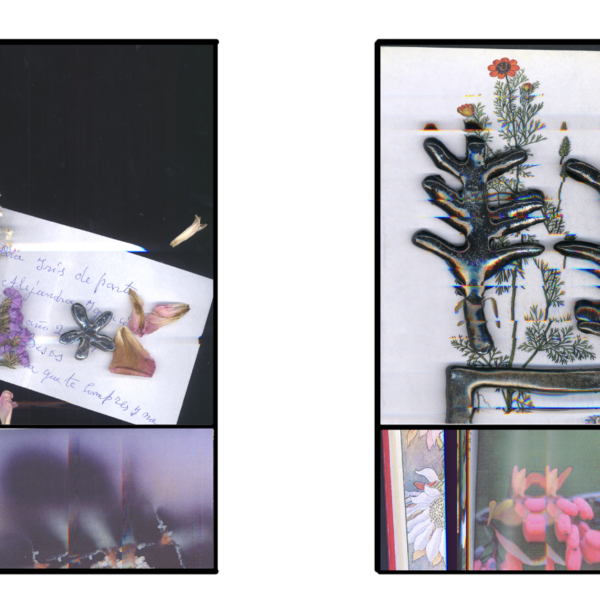 Camille Benarab-Lopez, croquis numérique des œuvres Fleurs 1 et Fleurs 2, 2026 Courtesy de l'artiste, © Adagp, Paris, 2026