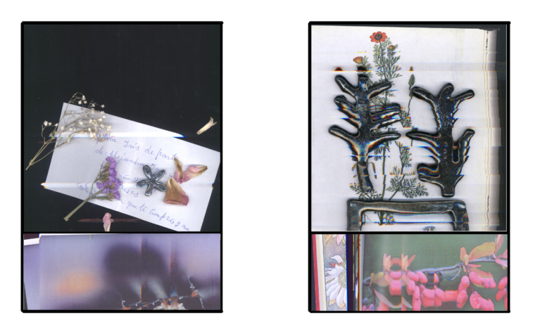 Camille Benarab-Lopez, croquis numérique des œuvres Fleurs 1 et Fleurs 2, 2026 Courtesy de l'artiste, © Adagp, Paris, 2026