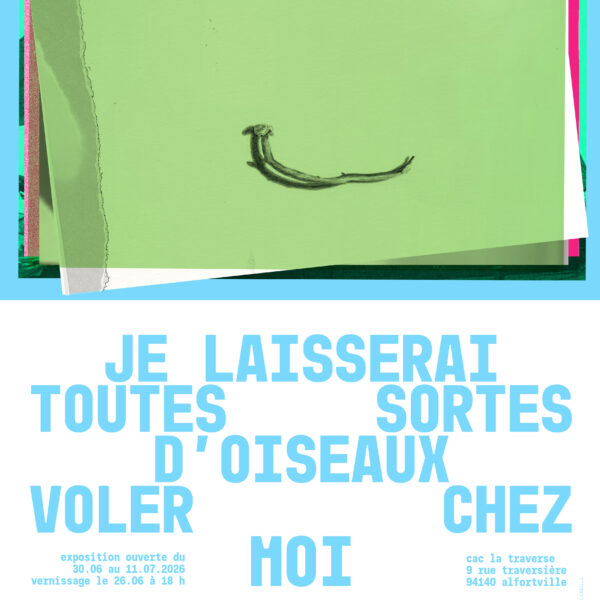 Je laisserai toutes sortes d'oiseaux voler chez moi