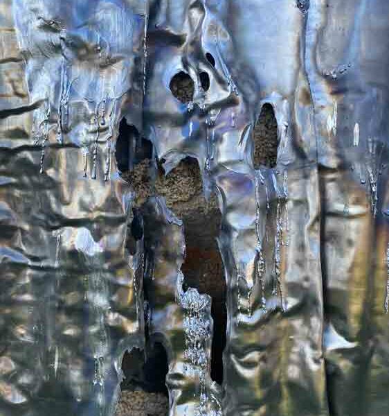 Marion Flament